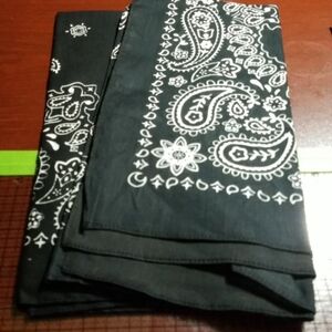 Old Fashioned Handkerchief 22" Square Set of 2